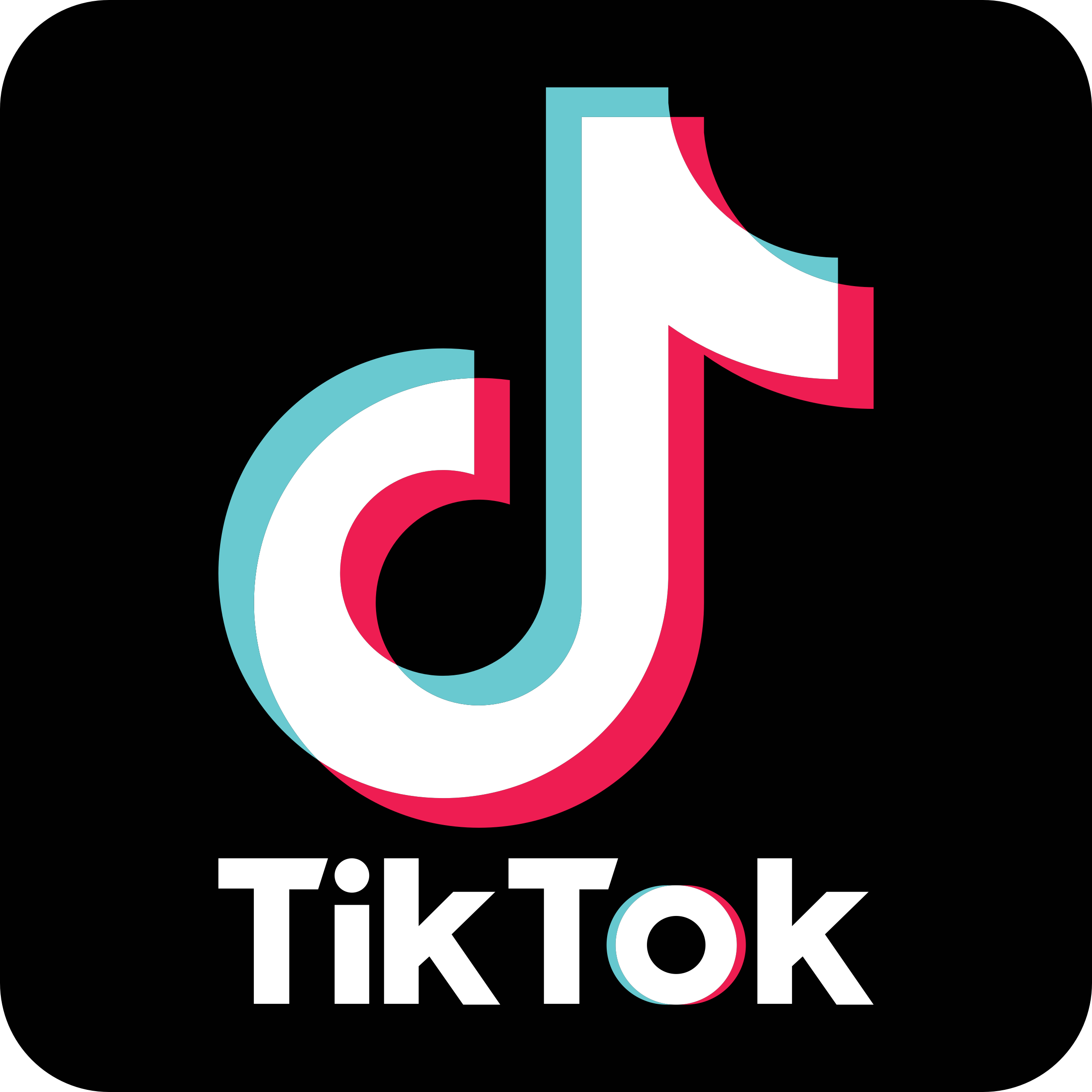 Video TikTok